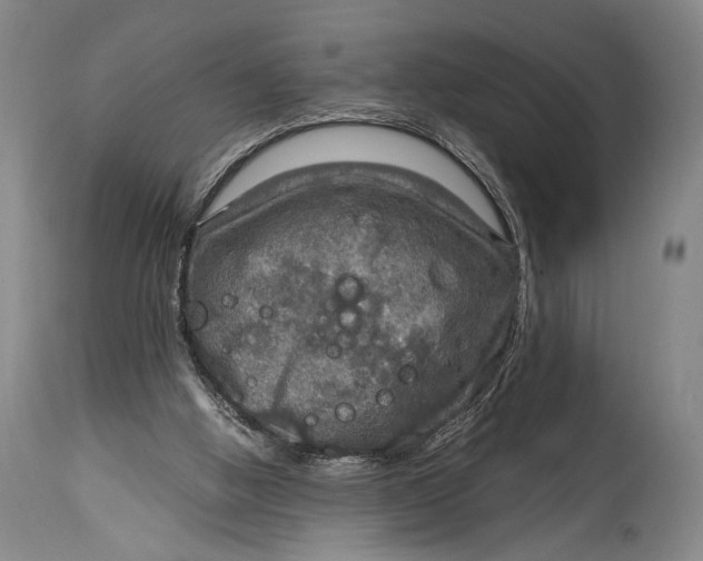 X0000114680058200911121505