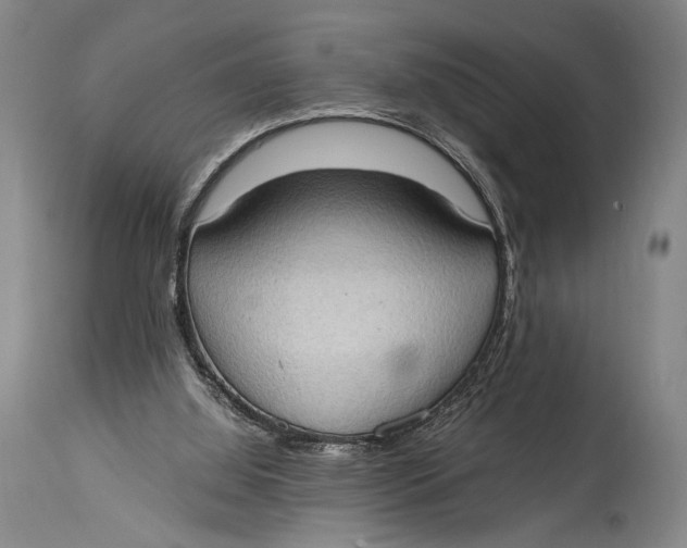 X0000114680060200911121505