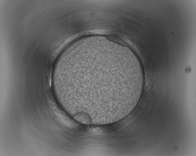 X0000114680062200911121505