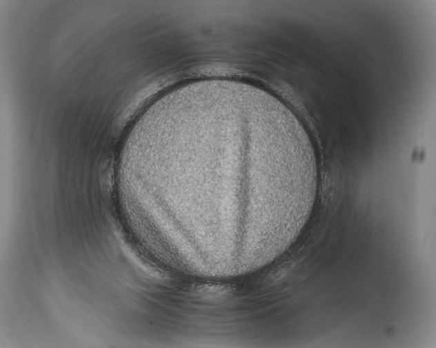 X0000114680063200911121505