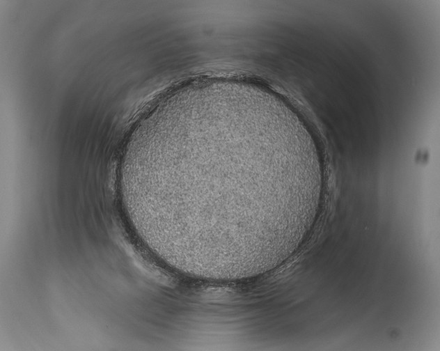 X0000114680066200911121505