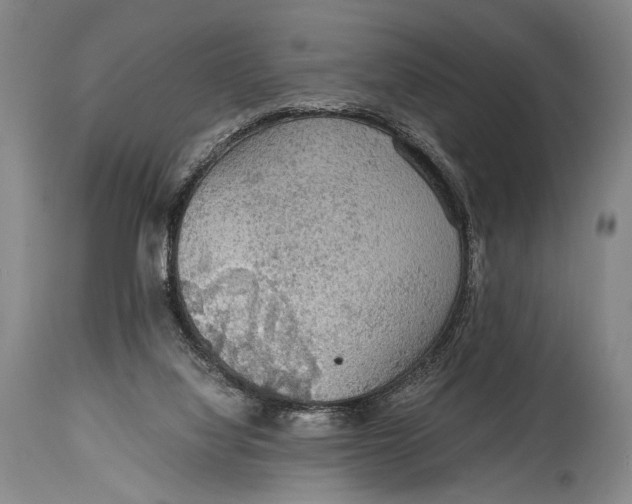 X0000114680068200911121505