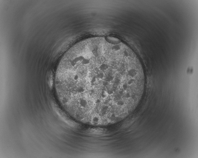 X0000114680069200911121505