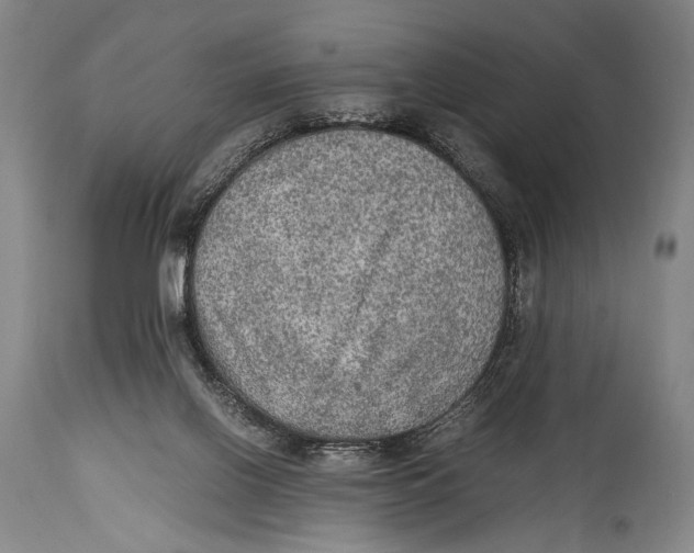 X0000114680070200911121505