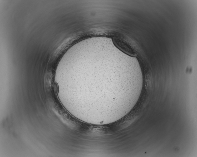 X0000114680072200911121505