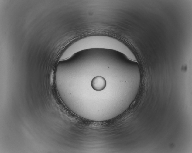 X0000114680076200911121505
