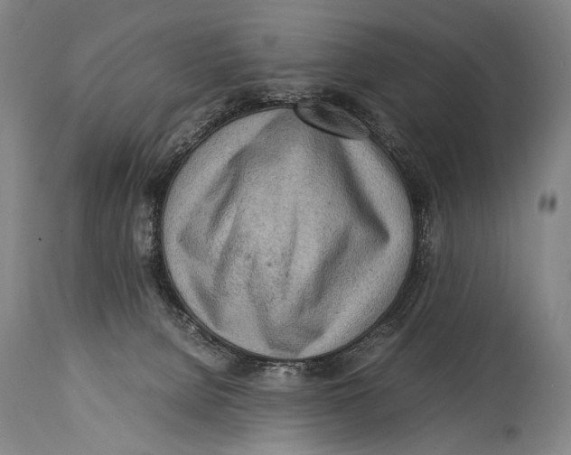 X0000114680080200911121505