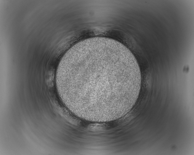 X0000114680082200911121505