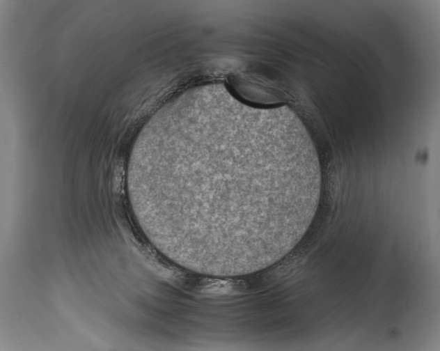 X0000114680083200911121505