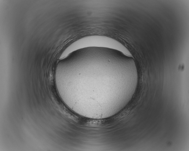 X0000114680084200911121505