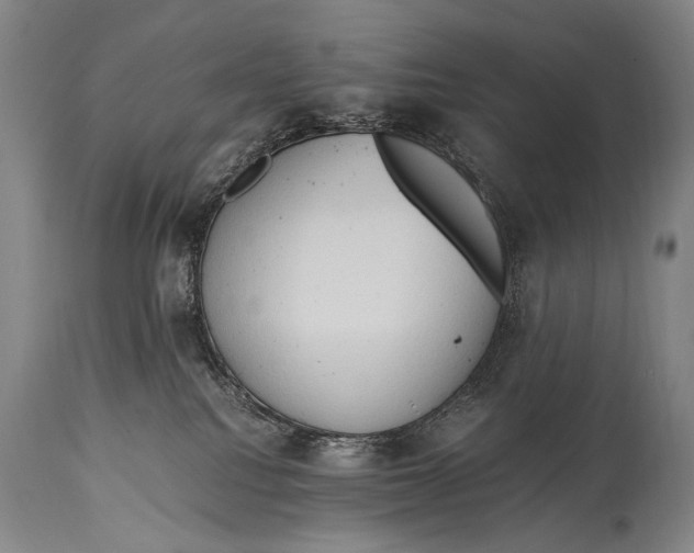 X0000114680088200911121505