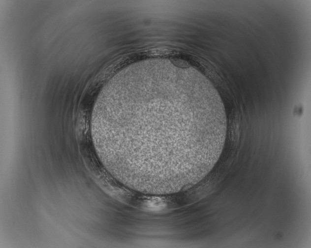 X0000114680091200911121505