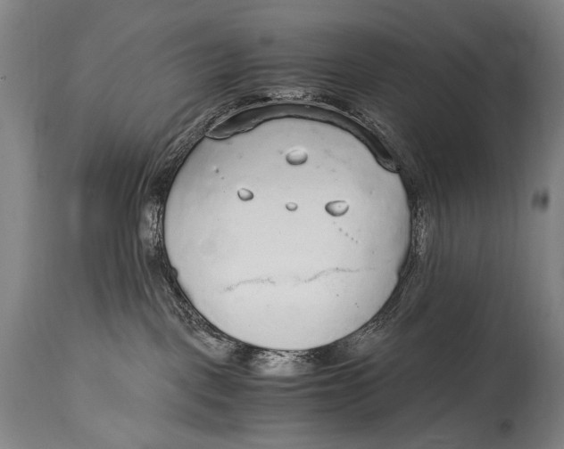 X0000114680093200911121505