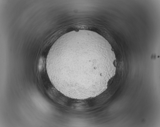 X0000114680095200911121506