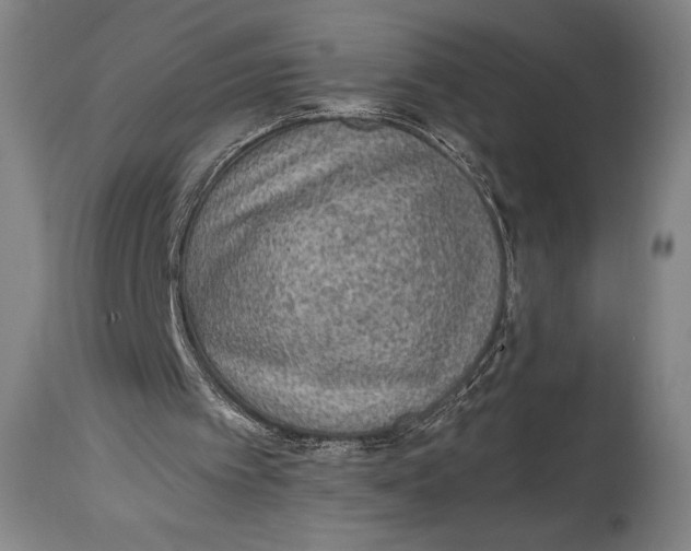 X0000114680097200911121505