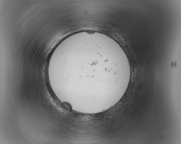 X0000114680098200911121505