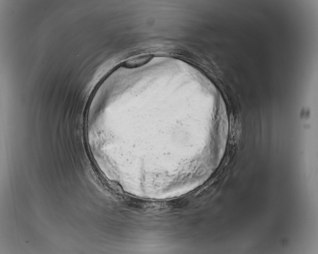 X0000114680099200911121505