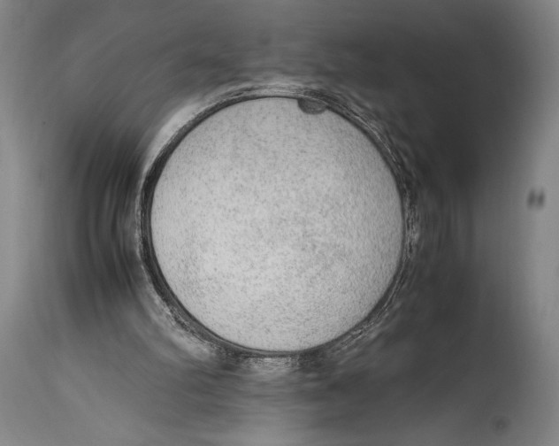 X0000114680102200911121505