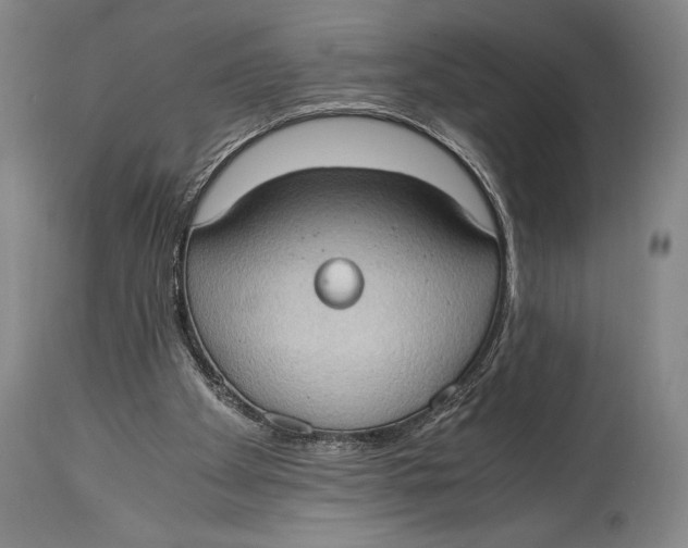 X0000114680105200911121505