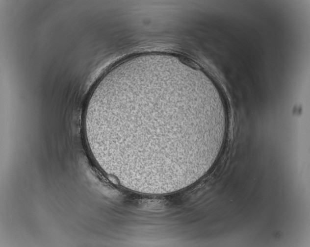 X0000114680107200911121505