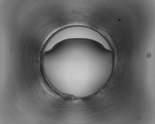 X0000114680108200911121505
