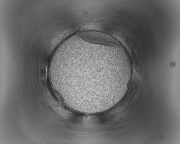X0000114680109200911121505