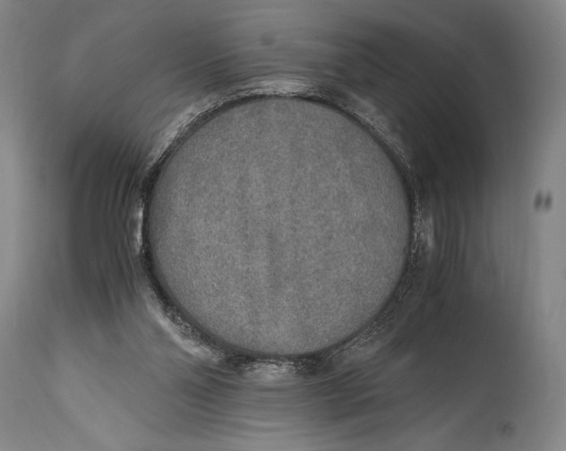 X0000114680110200911121505