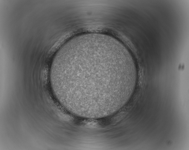 X0000114680113200911121505