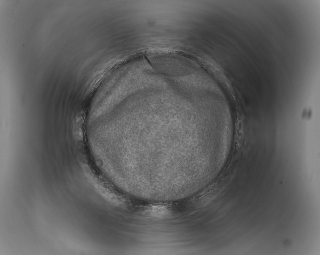 X0000114680114200911121505