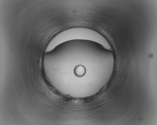X0000114680117200911121505