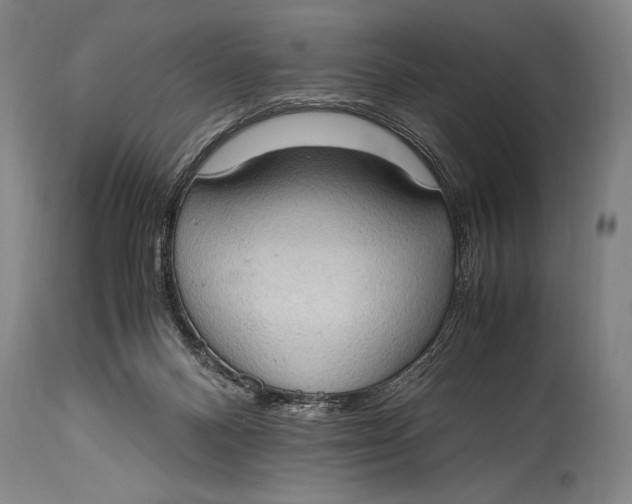 X0000114680120200911121505