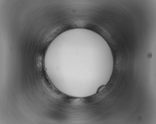 X0000114680122200911121505