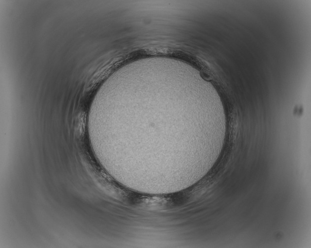 X0000114680125200911121504