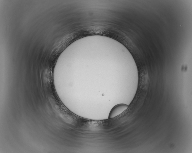 X0000114680126200911121504