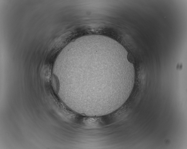 X0000114680129200911121504