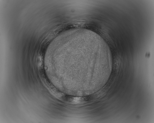 X0000114680130200911121504