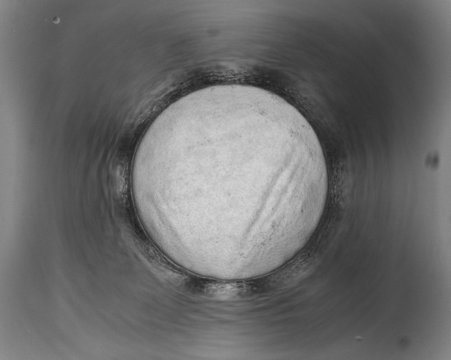 X0000114680131200911121504