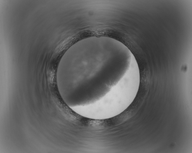 X0000114680139200911121504