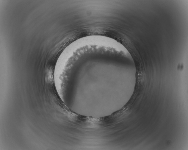 X0000114680143200911121504