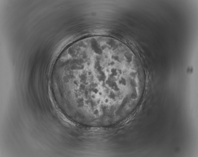 X0000114680145200911121503