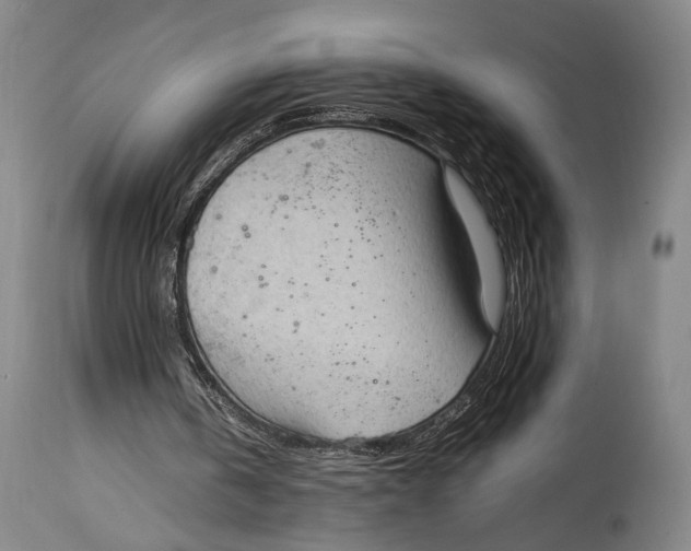 X0000114680146200911121503