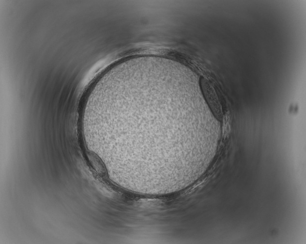 X0000114680150200911121503