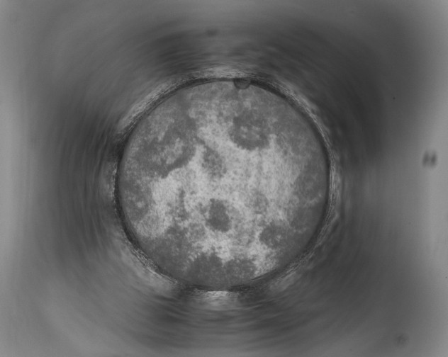 X0000114680153200911121503