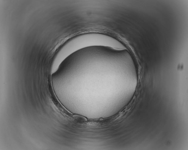 X0000114680154200911121504