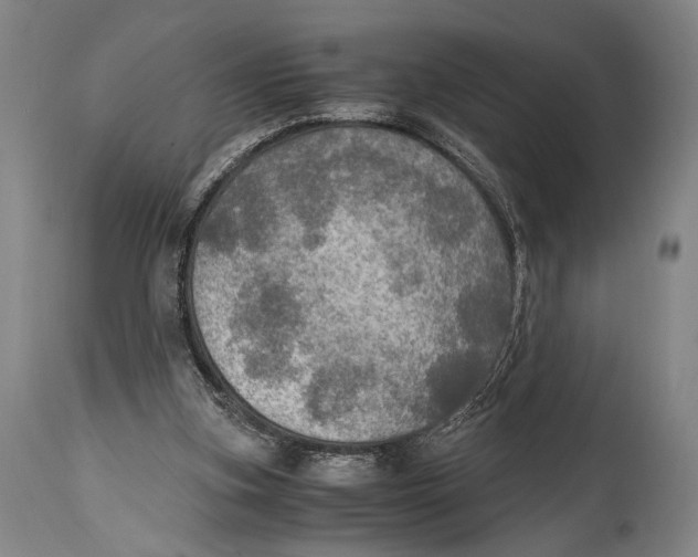 X0000114680155200911121504