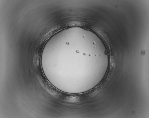 X0000114680157200911121504