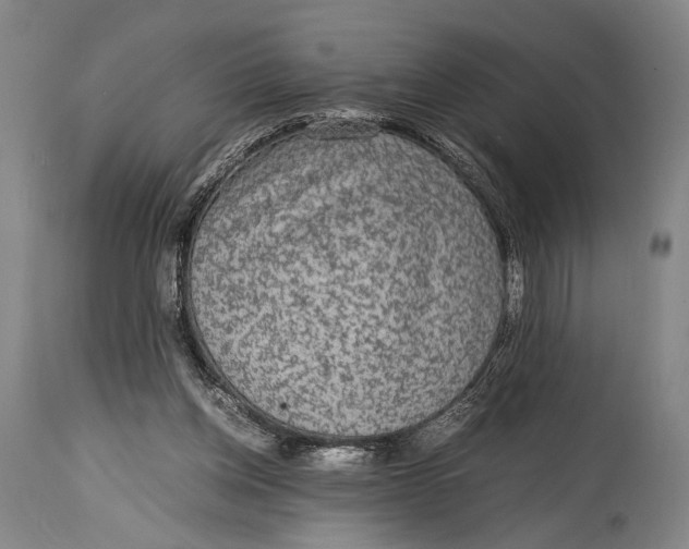 X0000114680158200911121504