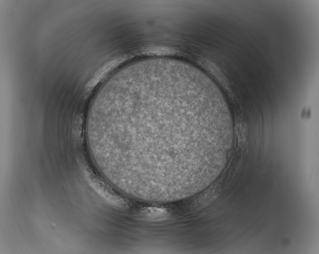 X0000114680159200911121504