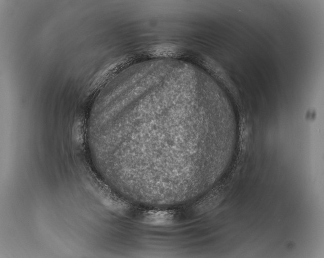 X0000114680161200911121504