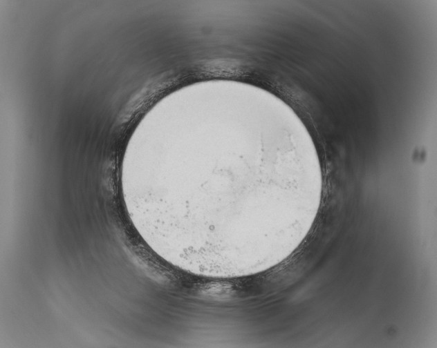 X0000114680162200911121504